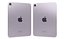 小米 Poco C75 和苹果 iPad Mini 2024