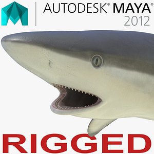 Grey Reef Shark Rigged for Maya