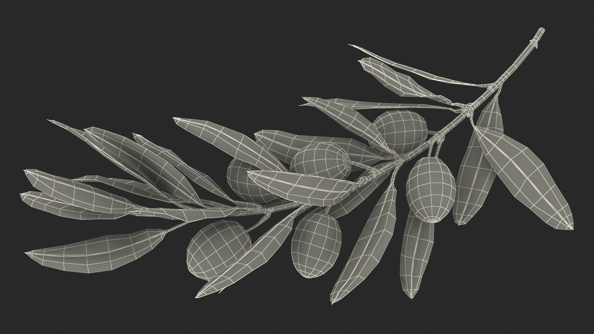 Olive Branch with Black Olives Resting 3D model https://p.turbosquid.com/ts-thumb/kl/psrKqx/e1/olive_branch_with_black_olives_lying_018/jpg/1775151346/1920x1080/fit_q87/38ca7c4b7e9ded0874cefce50d04772b41841d5a/olive_branch_with_black_olives_lying_018.jpg