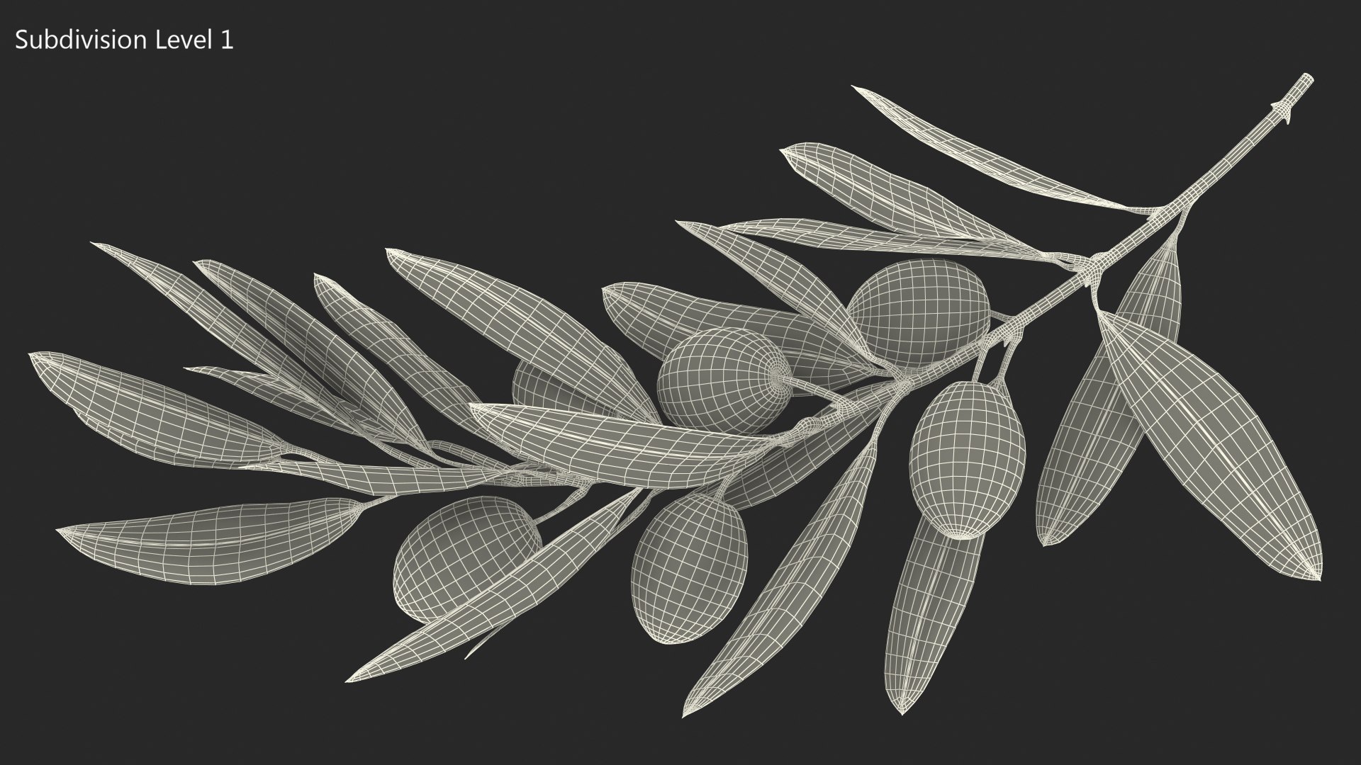 Olive Branch with Black Olives Resting 3D model https://p.turbosquid.com/ts-thumb/kl/psrKqx/uV/olive_branch_with_black_olives_lying_014/jpg/1775151332/1920x1080/fit_q87/a05aabd307474f3d2c5619b0fca0f9fd6f29afdf/olive_branch_with_black_olives_lying_014.jpg