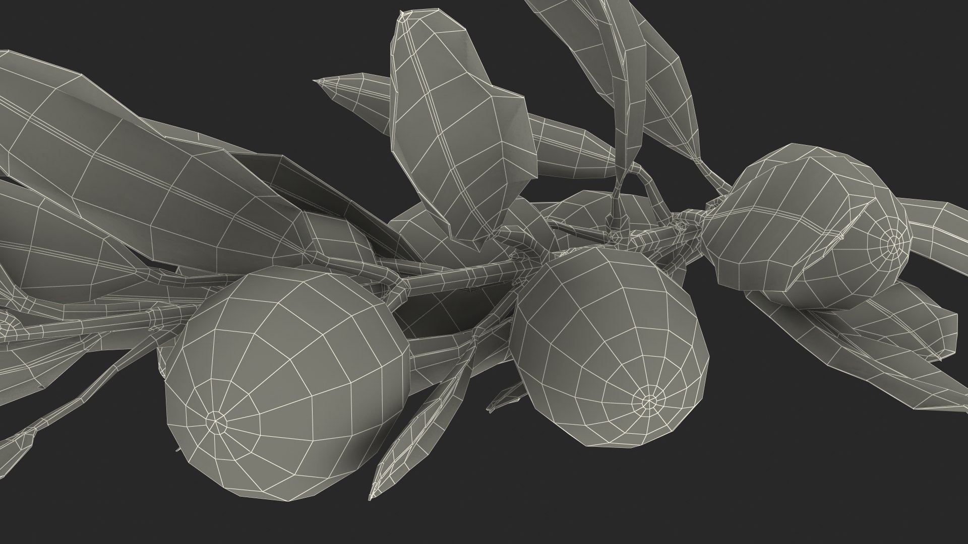 Olive Branch with Black Olives Resting 3D model https://p.turbosquid.com/ts-thumb/kl/psrKqx/xd/olive_branch_with_black_olives_lying_022/jpg/1775151359/1920x1080/fit_q87/8b2800143ee0c993f14002c9a3ab3cddc57cd77d/olive_branch_with_black_olives_lying_022.jpg