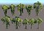 Animated Jungle Tree Pack 10