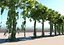 Animated Jungle Tree Pack 10