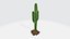 Cactus 3D model