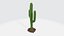 Cactus 3D model