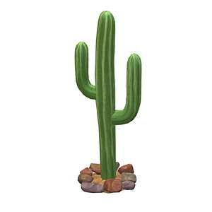 Cactus 3D model