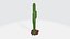 Cactus 3D model