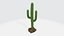 Cactus 3D model