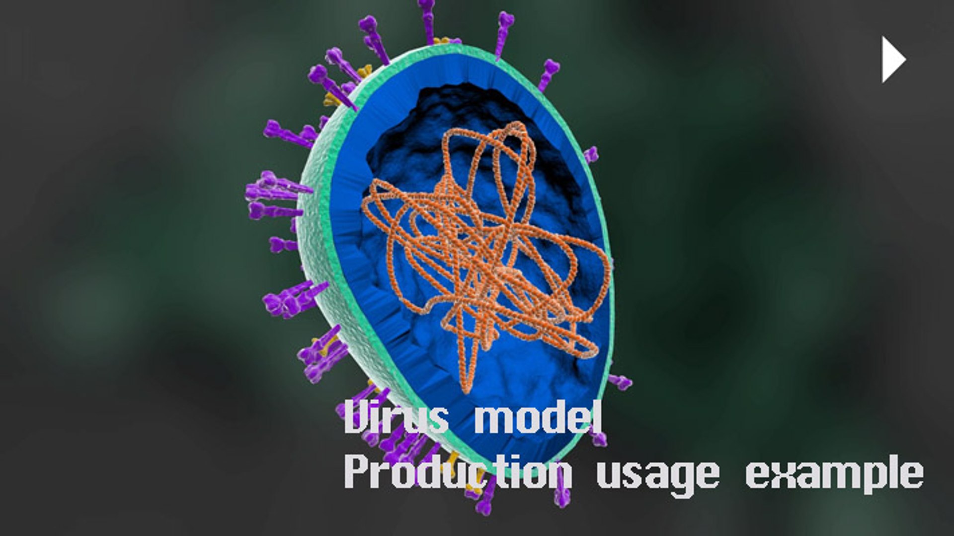 cutaway h1n1 flu virus 3d model https://p.turbosquid.com/ts-thumb/kl/wwjk0r/Ew6VPTM2/h1n1_production/jpg/1244055986/1920x1080/fit_q87/f61fbd7c13f151cf1fa61b3d6593a93689ab62b4/h1n1_production.jpg
