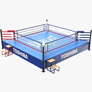 Detailed Boxing Ring 02