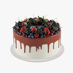 Berry Cake 3D model