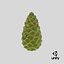 Green Pine Cone