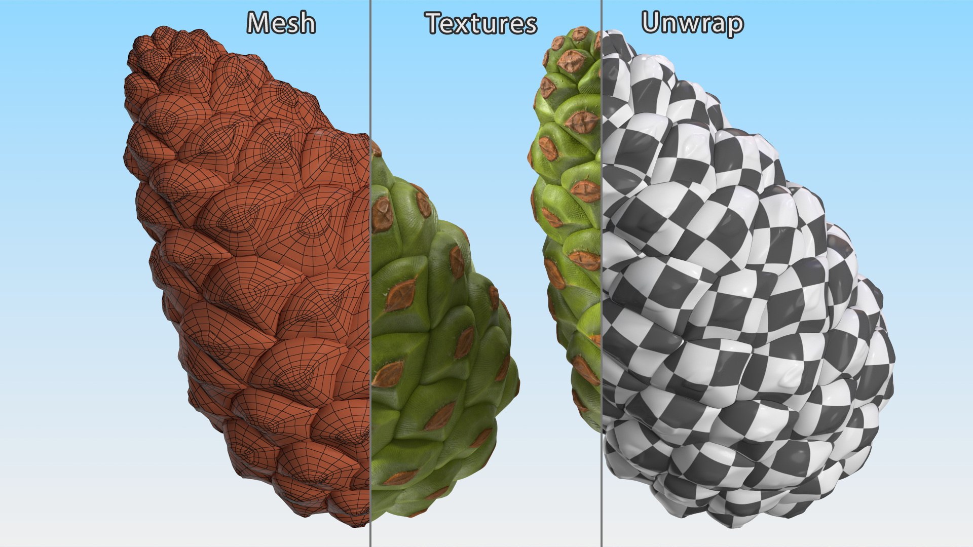 3D model Green Pine Cone https://p.turbosquid.com/ts-thumb/km/4sCRE9/Lj/greenpineconevray3dmodel014/jpg/1675734712/1920x1080/fit_q87/c7ef5742823c7cd99a2d708b453215ce1593a3ef/greenpineconevray3dmodel014.jpg