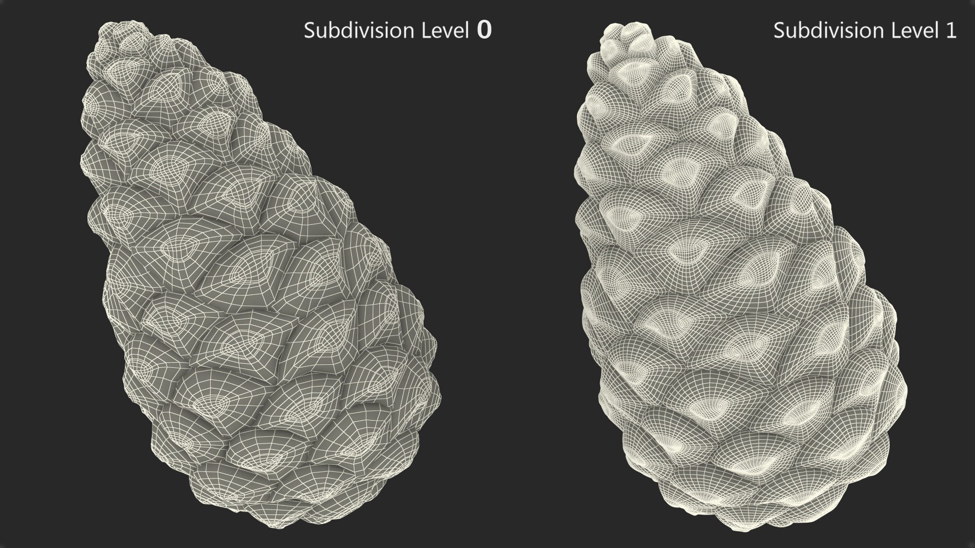 3D model Green Pine Cone https://p.turbosquid.com/ts-thumb/km/4sCRE9/MH/greenpineconevray3dmodel015/jpg/1675734715/1920x1080/fit_q87/3ac8d3a297da9ea447cd5160698278595f148262/greenpineconevray3dmodel015.jpg