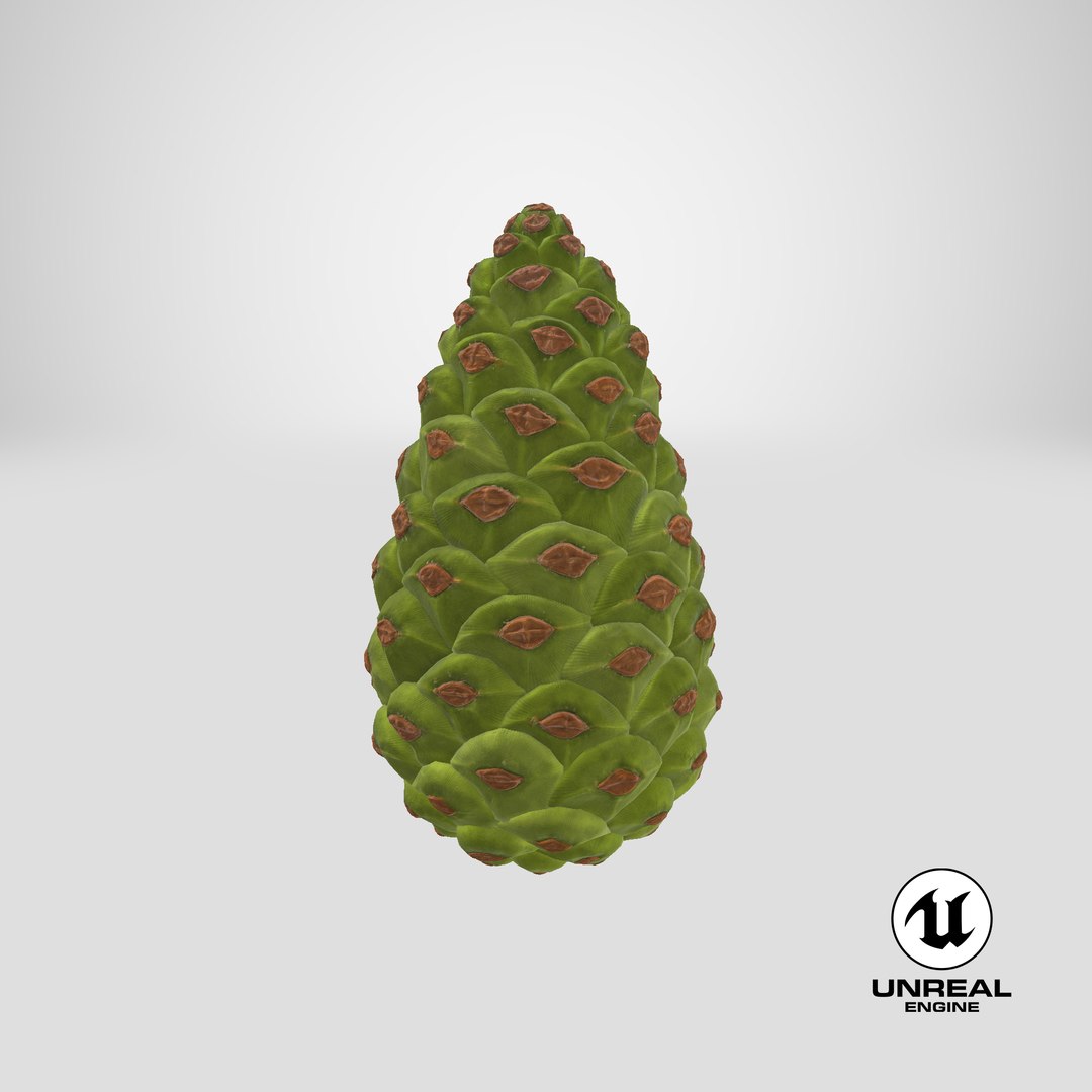 3D model Green Pine Cone https://p.turbosquid.com/ts-thumb/km/4sCRE9/Ya/stemcell_unreal_render/png/1686756002/1920x1080/fit_q87/a363096b0b9c41ded1a033cccfd5bd22d7bb5e0f/stemcell_unreal_render.jpg