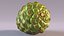 Green Pine Cone