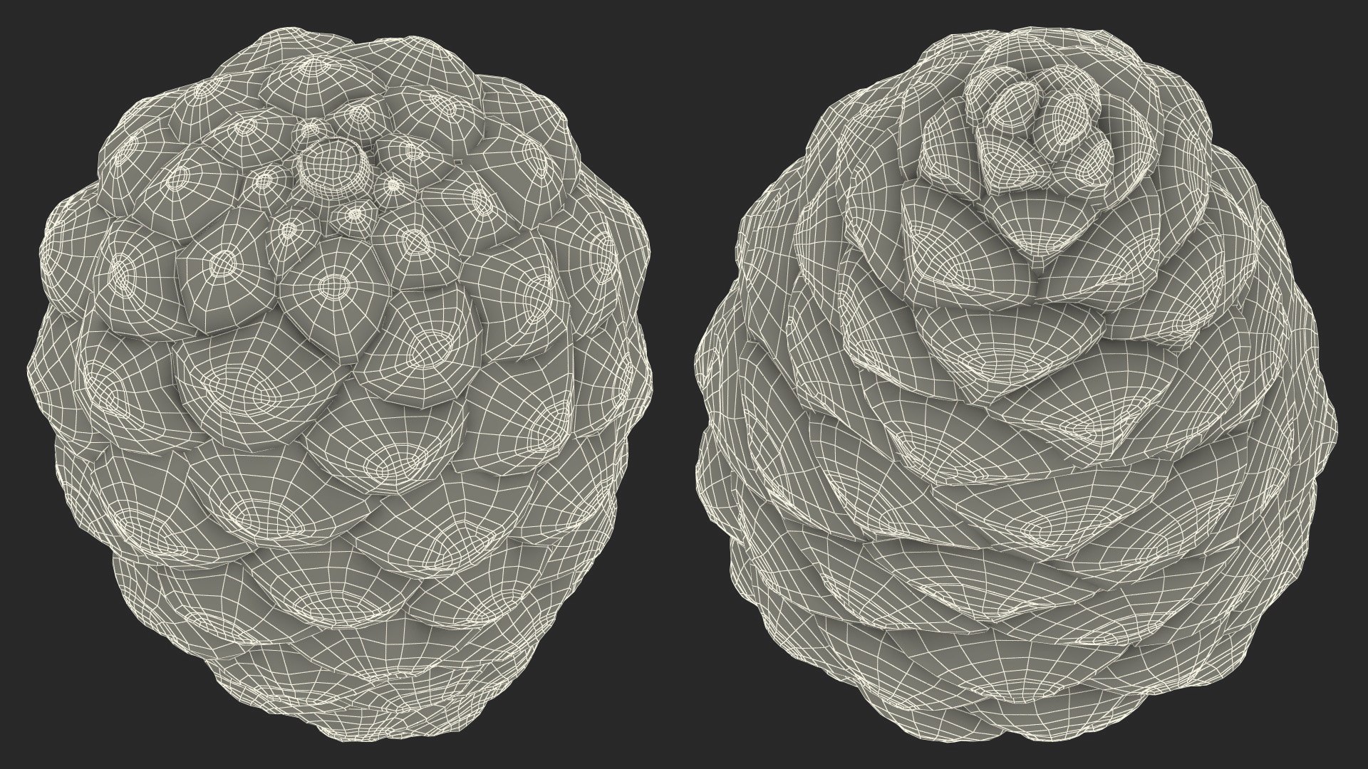 3D model Green Pine Cone https://p.turbosquid.com/ts-thumb/km/4sCRE9/cf/greenpineconevray3dmodel020/jpg/1675734731/1920x1080/fit_q87/93a21a47ad02c7f93f24520e5eedfbcd95415801/greenpineconevray3dmodel020.jpg