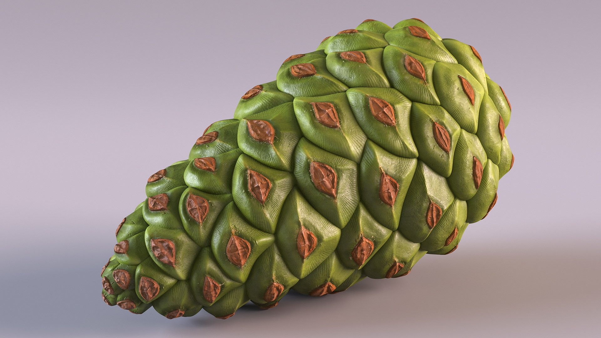 3D model Green Pine Cone https://p.turbosquid.com/ts-thumb/km/4sCRE9/fH/greenpineconevray3dmodel007/jpg/1675734689/1920x1080/fit_q87/405bba8b5564742a8b00e2a377b721c152e64ab4/greenpineconevray3dmodel007.jpg