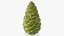 Green Pine Cone