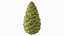 Green Pine Cone