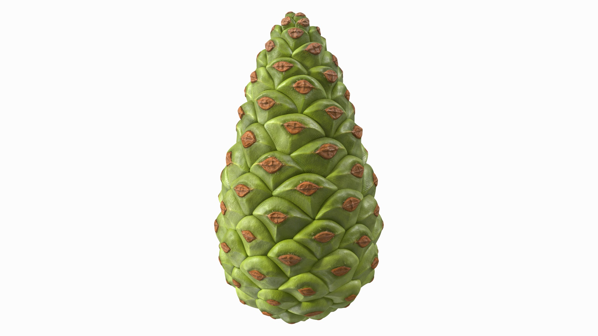 3D model Green Pine Cone https://p.turbosquid.com/ts-thumb/km/4sCRE9/hU/green_pine_cone_360/jpg/1675734346/1920x1080/turn_fit_q99/50b476de2e46323eca5a190e762d502bf7a08222/green_pine_cone_360-1.jpg