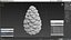 Green Pine Cone