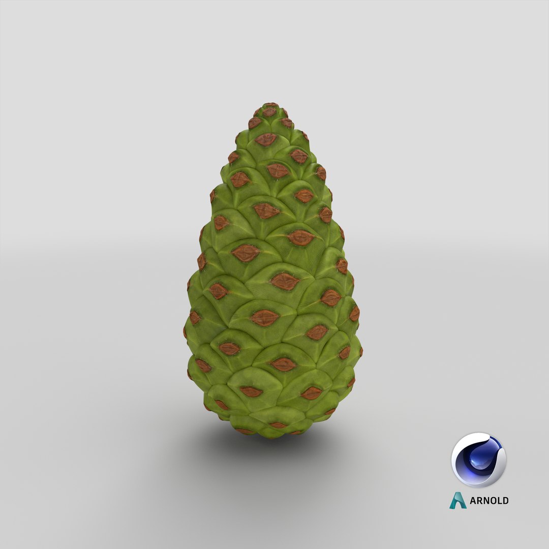 3D model Green Pine Cone https://p.turbosquid.com/ts-thumb/km/4sCRE9/lj/stemcell_cinema_4d_arnold_render/png/1686756007/1920x1080/fit_q87/fd339a43147341d1c4f1604b4f57db340edc3715/stemcell_cinema_4d_arnold_render.jpg