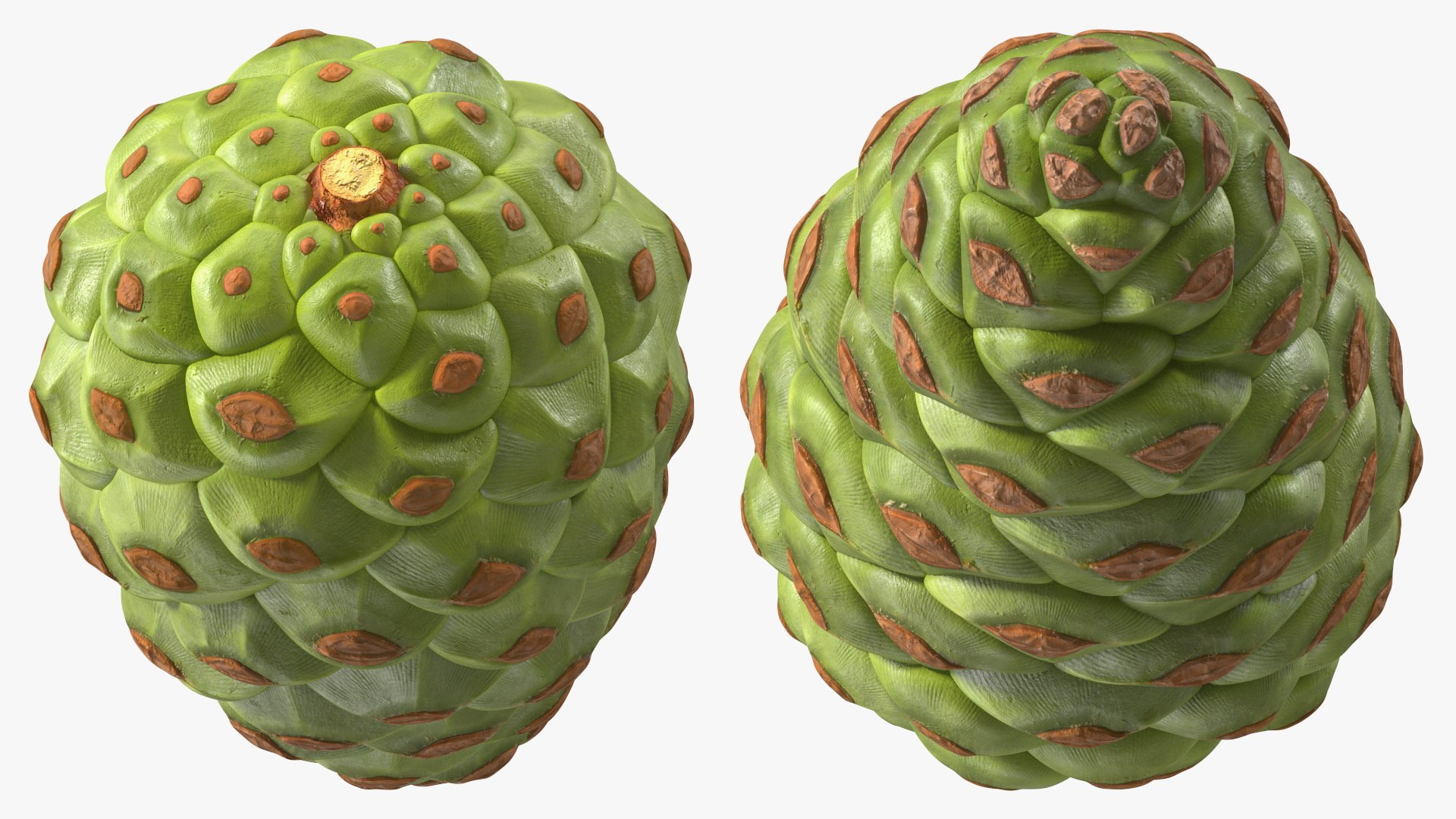 3D model Green Pine Cone https://p.turbosquid.com/ts-thumb/km/4sCRE9/ns/greenpineconevray3dmodel011/jpg/1675734703/1920x1080/fit_q87/ffc1a187f1f8492d781b4c4332162134d0fbff2c/greenpineconevray3dmodel011.jpg