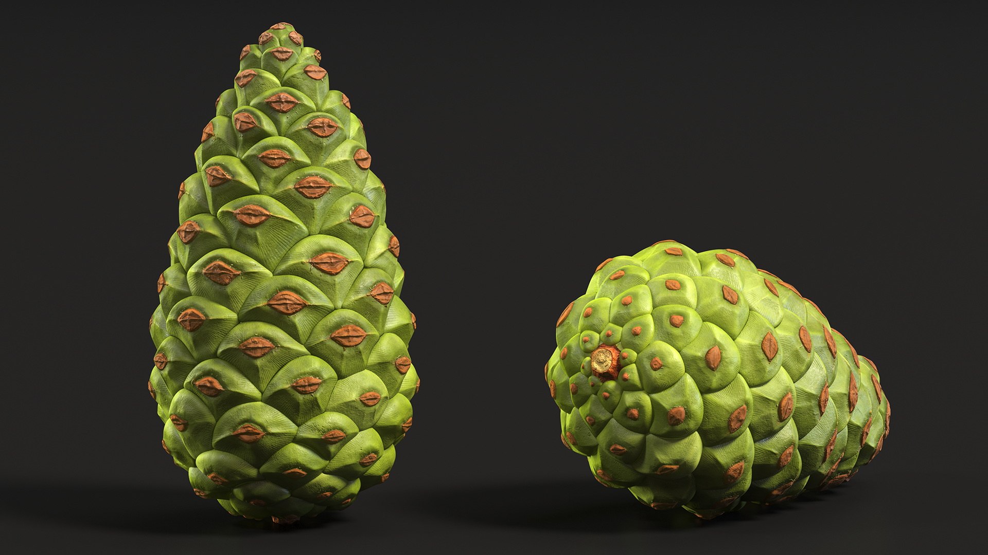 3D model Green Pine Cone https://p.turbosquid.com/ts-thumb/km/4sCRE9/ss/greenpineconevray3dmodel009/jpg/1675734696/1920x1080/fit_q87/370ade6b1bbc1c156e1866e113a286d6f9a3b07d/greenpineconevray3dmodel009.jpg