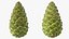 Green Pine Cone