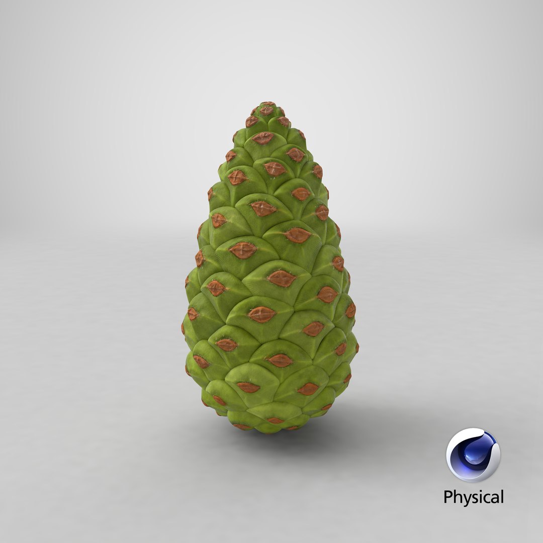 3D model Green Pine Cone https://p.turbosquid.com/ts-thumb/km/4sCRE9/yp/stemcell_cinema_4d_physical_render/png/1686756009/1920x1080/fit_q87/98d53e05c369c88a3280571a3d470466cb2dac50/stemcell_cinema_4d_physical_render.jpg