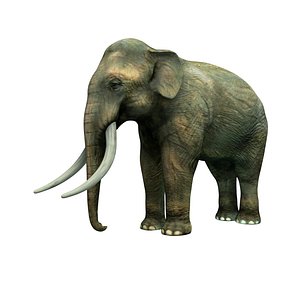 asian elephant 3ds