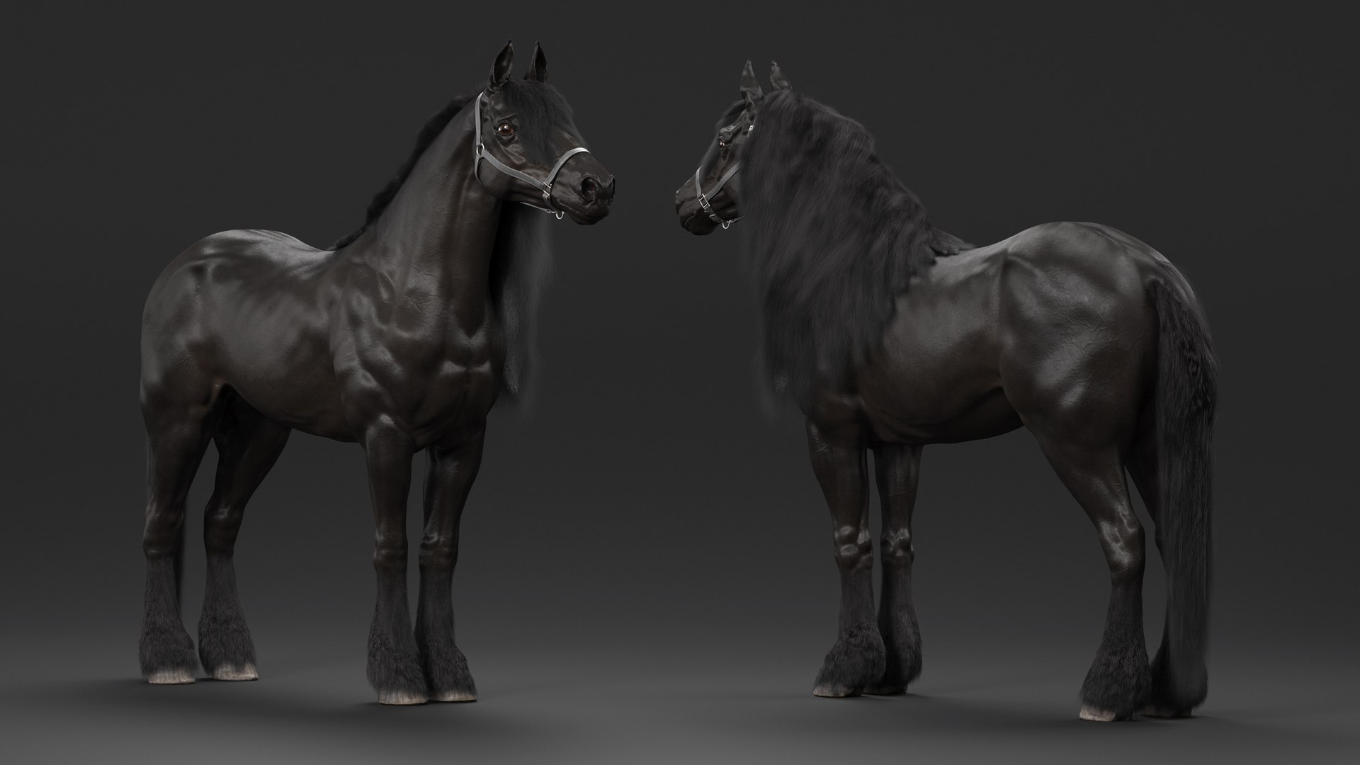 3D Friesian Horse Fur model https://p.turbosquid.com/ts-thumb/km/985THl/HG/friesianhorsefurvray3dmodel005/jpg/1706279974/1920x1080/fit_q87/3c9b8f7cee26d2a08fd0080413eb8e170800ac29/friesianhorsefurvray3dmodel005.jpg