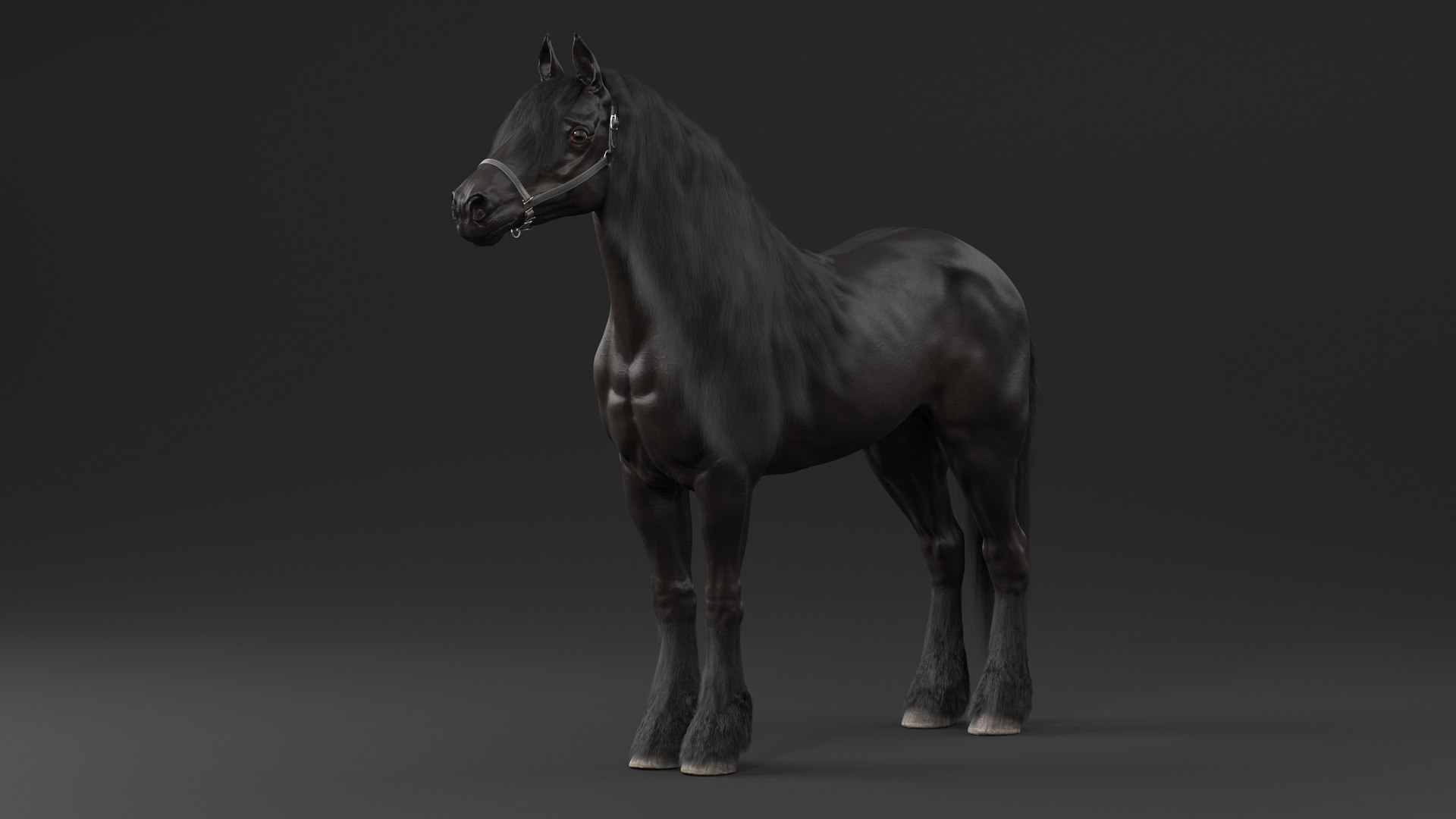 3D Friesian Horse Fur model https://p.turbosquid.com/ts-thumb/km/985THl/Jl/friesianhorsefurvray3dmodel004/jpg/1706279968/1920x1080/fit_q87/6b439711178b946152b8cb4aab9be0ea1890779a/friesianhorsefurvray3dmodel004.jpg
