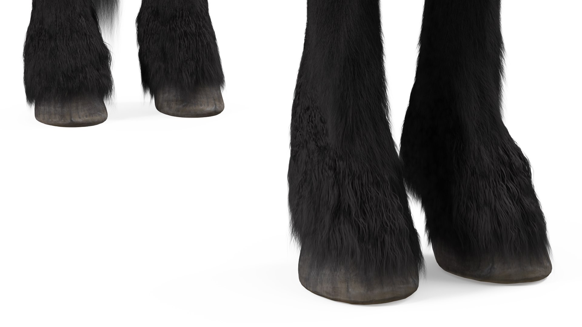 3D Friesian Horse Fur model https://p.turbosquid.com/ts-thumb/km/985THl/WO/friesianhorsefurvray3dmodel011/jpg/1706280013/1920x1080/fit_q87/d92319c84fe9afb4c85fd6f6dcbc7c52796a4acd/friesianhorsefurvray3dmodel011.jpg