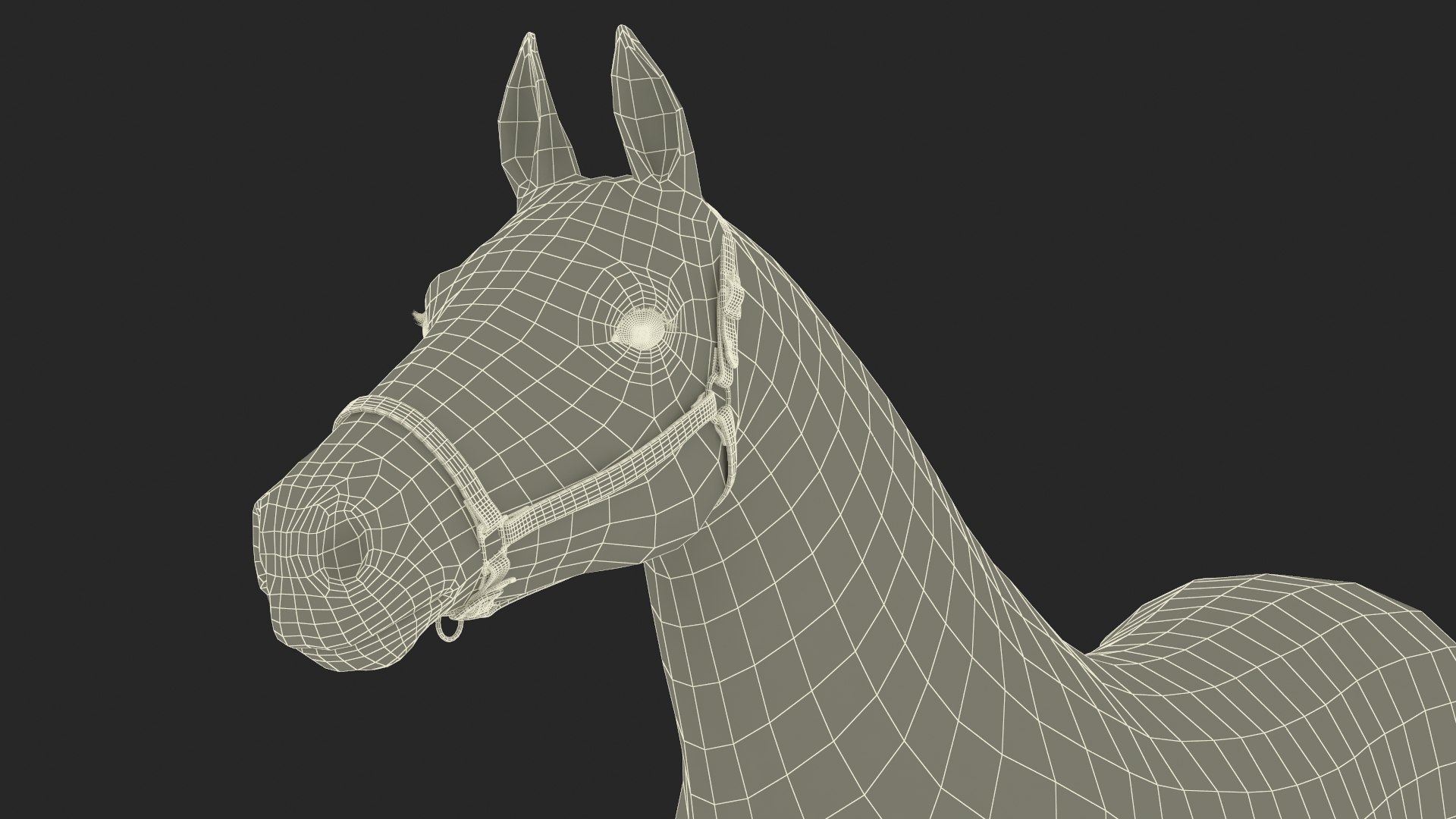 3D Friesian Horse Fur model https://p.turbosquid.com/ts-thumb/km/985THl/by/friesianhorsefurvray3dmodel020/jpg/1706280058/1920x1080/fit_q87/484cd80a98e39b0de5fef3c6889c5bacbf21ca96/friesianhorsefurvray3dmodel020.jpg
