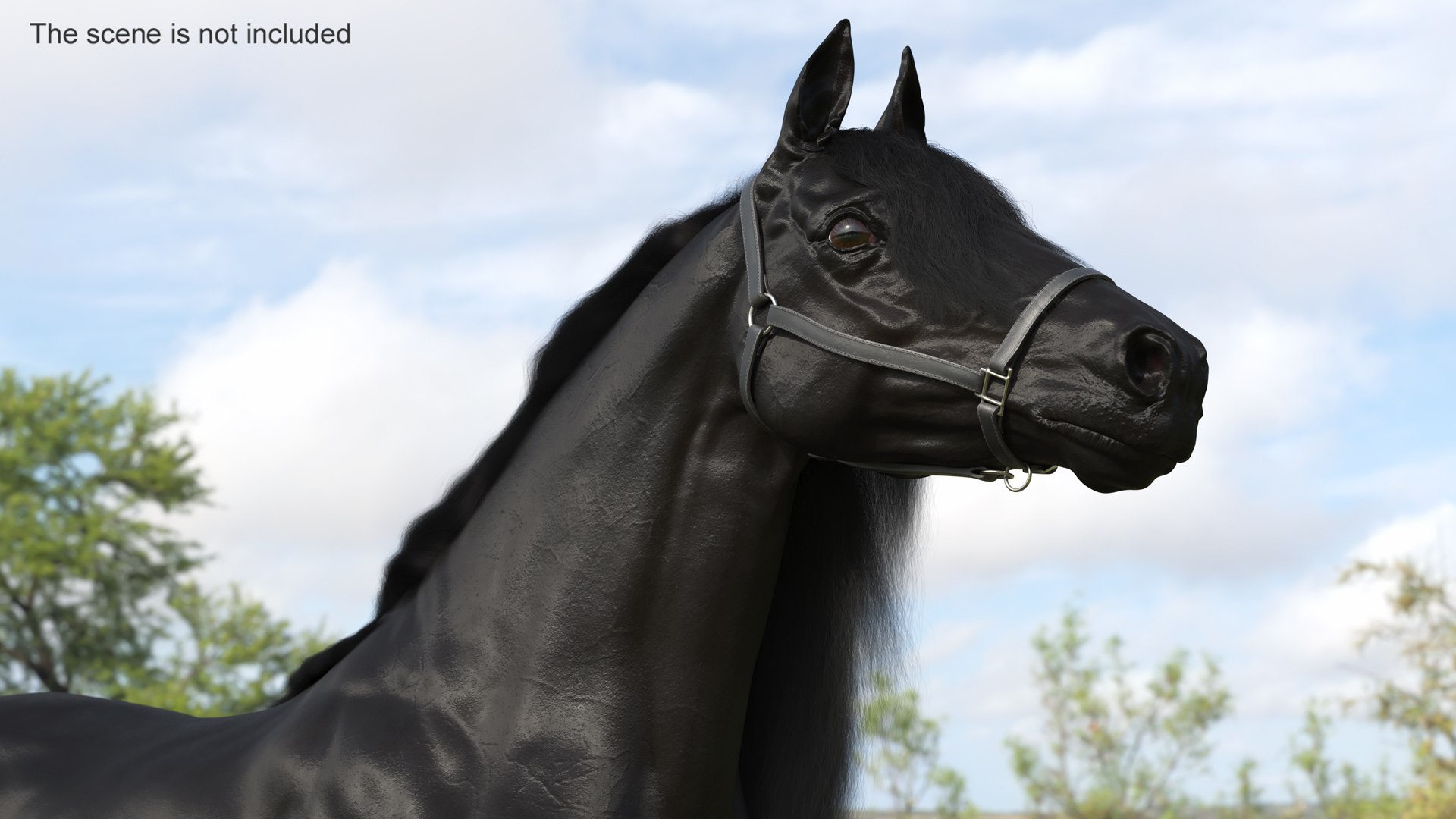 3D Friesian Horse Fur model https://p.turbosquid.com/ts-thumb/km/985THl/kd/friesianhorsefurvray3dmodel003/jpg/1706279962/1920x1080/fit_q87/0e91cca9faa5a27940133bec1906968e85d463d8/friesianhorsefurvray3dmodel003.jpg