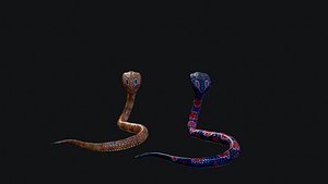 3D King Cobra Animation