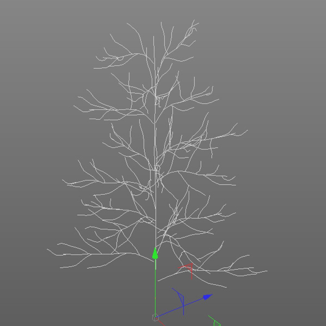 gleditsia triacanthos inermis 3d model https://p.turbosquid.com/ts-thumb/km/Iznuub/evm2l5al/gleditsiainermis2f/jpg/1376609482/1920x1080/fit_q87/19dab5e7493ad756330b61176dc639b9b7b23ad7/gleditsiainermis2f.jpg