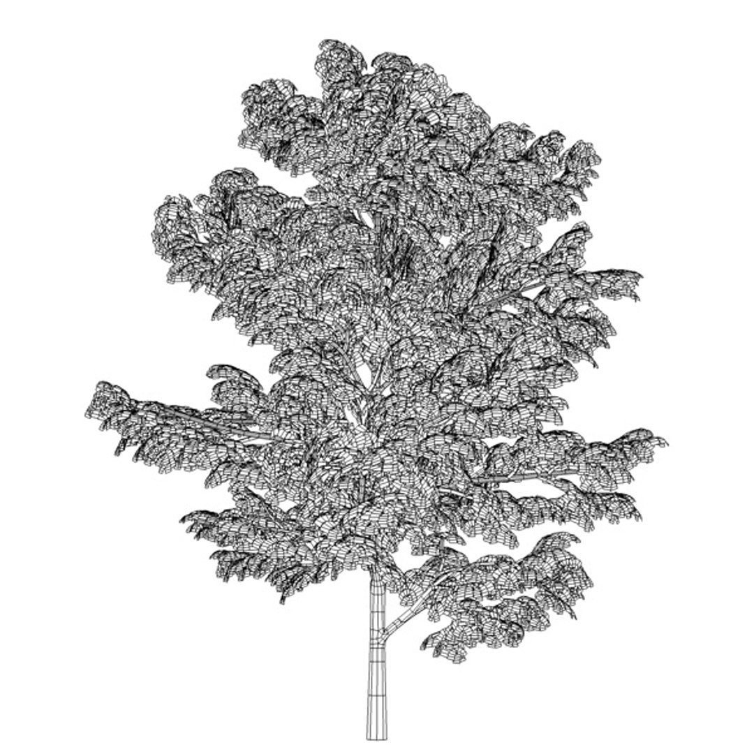 gleditsia triacanthos inermis 3d model https://p.turbosquid.com/ts-thumb/km/Iznuub/wKCUYeht/gleditsiainermis2e/jpg/1376609475/1920x1080/fit_q87/8d1341015147f920ba019e107fd70821c5293ce8/gleditsiainermis2e.jpg