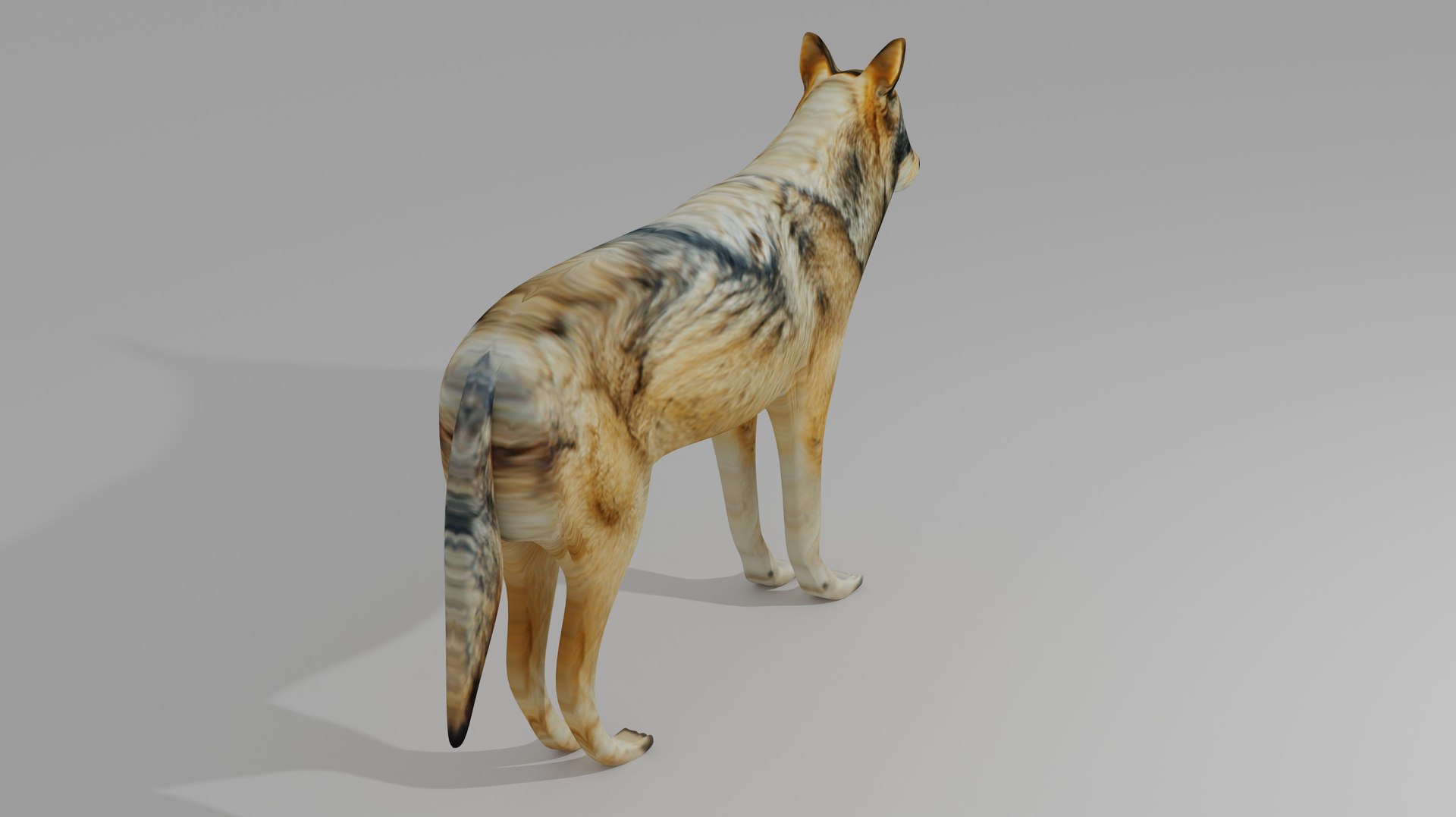 Wolf OBJ 3D Model - TurboSquid 2108181