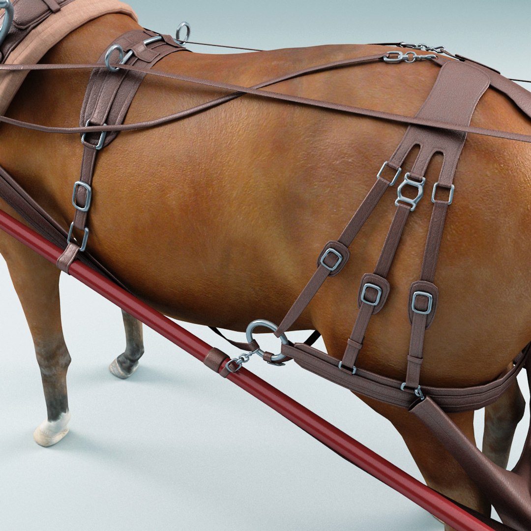 3d carriages v2 https://p.turbosquid.com/ts-thumb/km/LRzRk9/2UhHmsVf/carriages_collection_v2_78/jpg/1287062005/1920x1080/fit_q87/2c6dd9f1588abedd1db96852d09e5d313e200f77/carriages_collection_v2_78.jpg