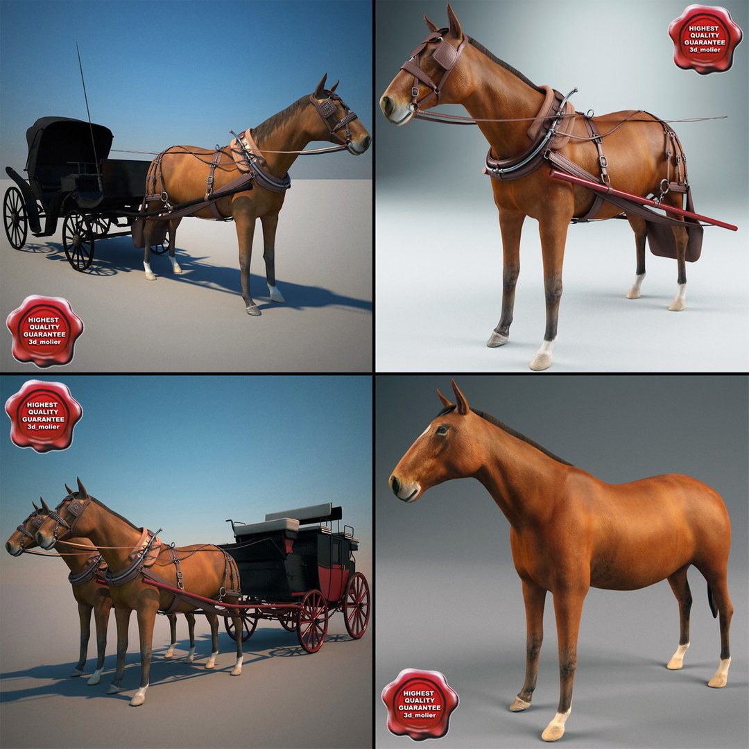 3d carriages v2 https://p.turbosquid.com/ts-thumb/km/LRzRk9/4E0RQF26/carriages_collection_v2_00/jpg/1287062004/1920x1080/fit_q87/bfea33aee25257d9fd915826a0a0b5fbac4a1e49/carriages_collection_v2_00.jpg