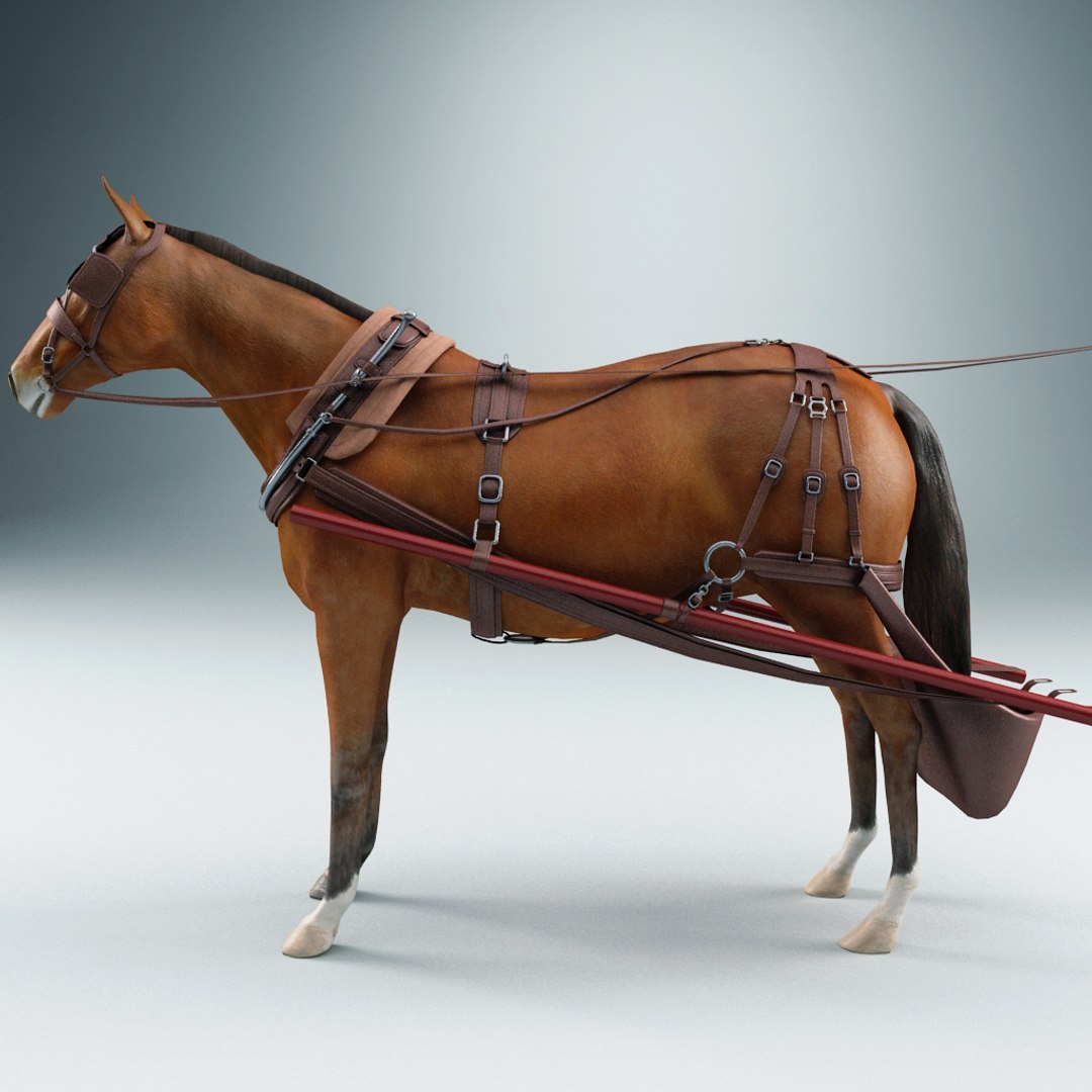 3d carriages v2 https://p.turbosquid.com/ts-thumb/km/LRzRk9/7g77CNKL/carriages_collection_v2_72/jpg/1287062005/1920x1080/fit_q87/cae1689397e5e4fab01e0e2b4a019a1fe4a4338f/carriages_collection_v2_72.jpg
