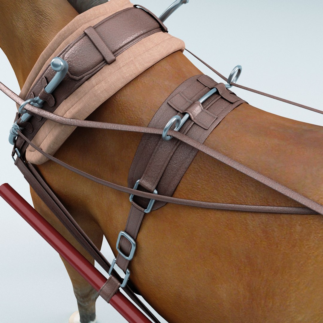 3d carriages v2 https://p.turbosquid.com/ts-thumb/km/LRzRk9/NgevxIS8/carriages_collection_v2_79/jpg/1287062005/1920x1080/fit_q87/e8e67cd8451115ecd7b8455e30041a0948ebf712/carriages_collection_v2_79.jpg