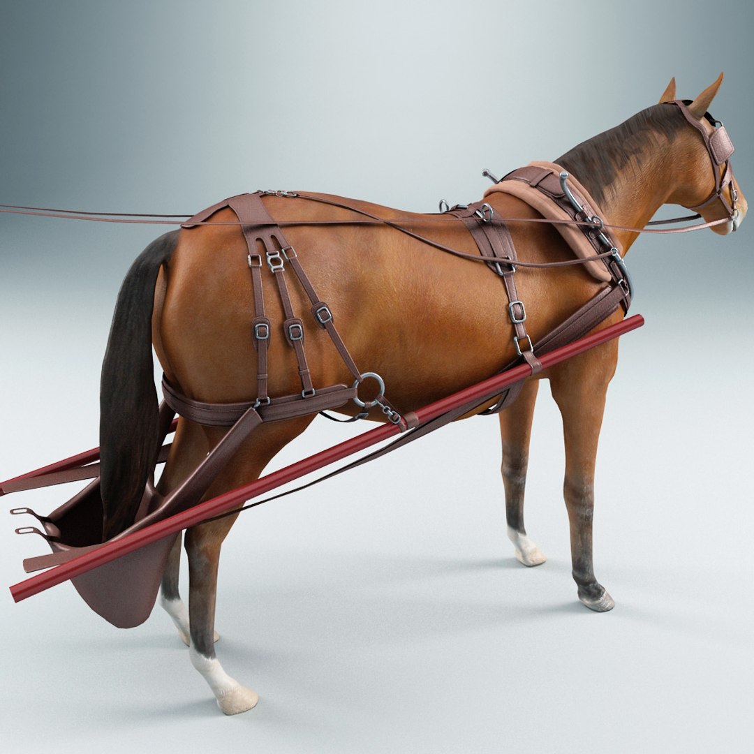 3d carriages v2 https://p.turbosquid.com/ts-thumb/km/LRzRk9/OkiWVc6r/carriages_collection_v2_74/jpg/1287062005/1920x1080/fit_q87/cd9ac77a7a1a4afddd1f6ba1abb104d7b52efc4d/carriages_collection_v2_74.jpg