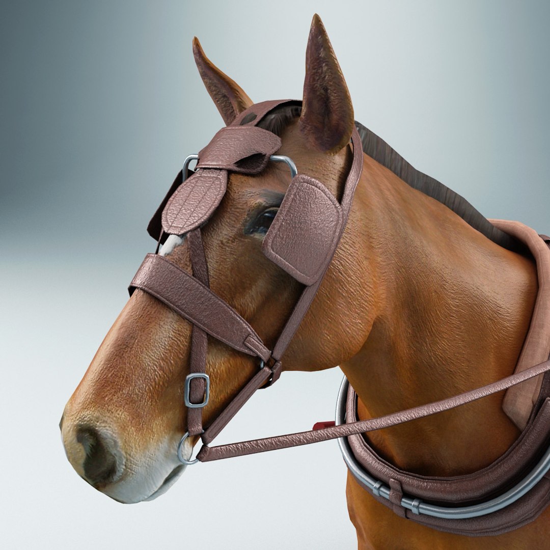 3d carriages v2 https://p.turbosquid.com/ts-thumb/km/LRzRk9/o1YgaXvI/carriages_collection_v2_76/jpg/1287062005/1920x1080/fit_q87/b9153385703002365fcf4dcb87be67e03f2b6713/carriages_collection_v2_76.jpg