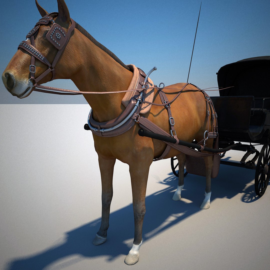 3d carriages v2 https://p.turbosquid.com/ts-thumb/km/LRzRk9/ovXkvx9e/carriages_collection_v2_52/jpg/1287062005/1920x1080/fit_q87/6993cef8dad8ddb5116b14831685fd63f64b000e/carriages_collection_v2_52.jpg