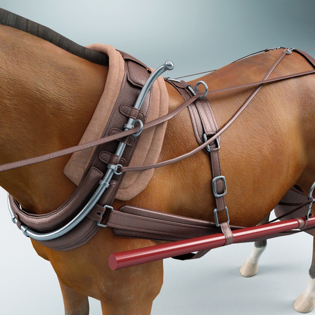 3d carriages v2 https://p.turbosquid.com/ts-thumb/km/LRzRk9/shsTEo7s/carriages_collection_v2_77/jpg/1287062005/1920x1080/fit_q87/9def68504015308a1b8df7b1bb4b3b48cbe60711/carriages_collection_v2_77.jpg