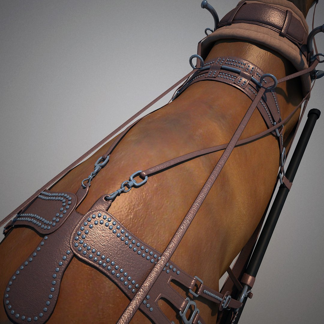3d carriages v2 https://p.turbosquid.com/ts-thumb/km/LRzRk9/uKwyFkjh/carriages_collection_v2_55/jpg/1287062005/1920x1080/fit_q87/b5dded505c72d187bd1b9a768031dc0ccbadb435/carriages_collection_v2_55.jpg